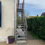 Les Murmures Du Jardin